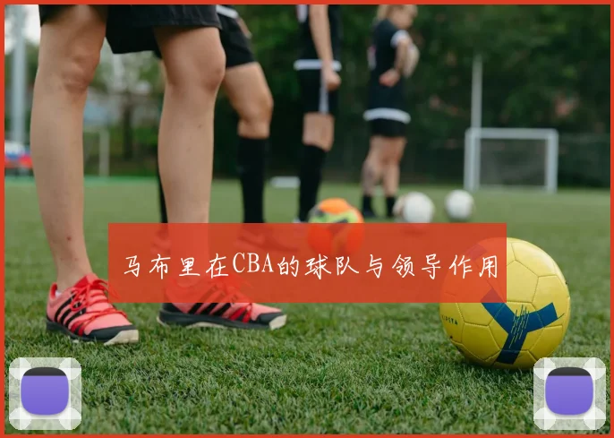 马布里在CBA的球队与领导作用