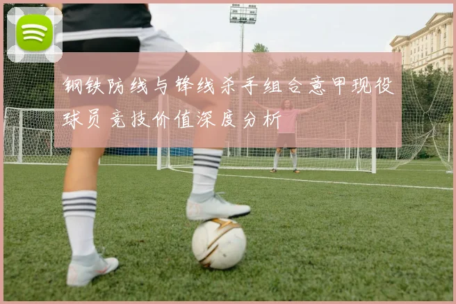 钢铁防线与锋线杀手组合意甲现役球员竞技价值深度分析