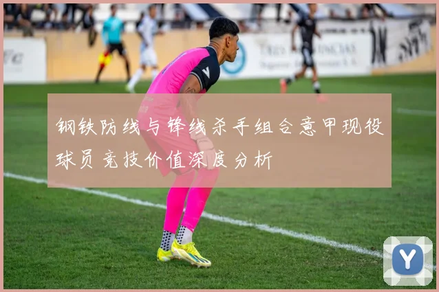 钢铁防线与锋线杀手组合意甲现役球员竞技价值深度分析