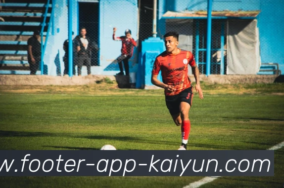 开云app服务体系